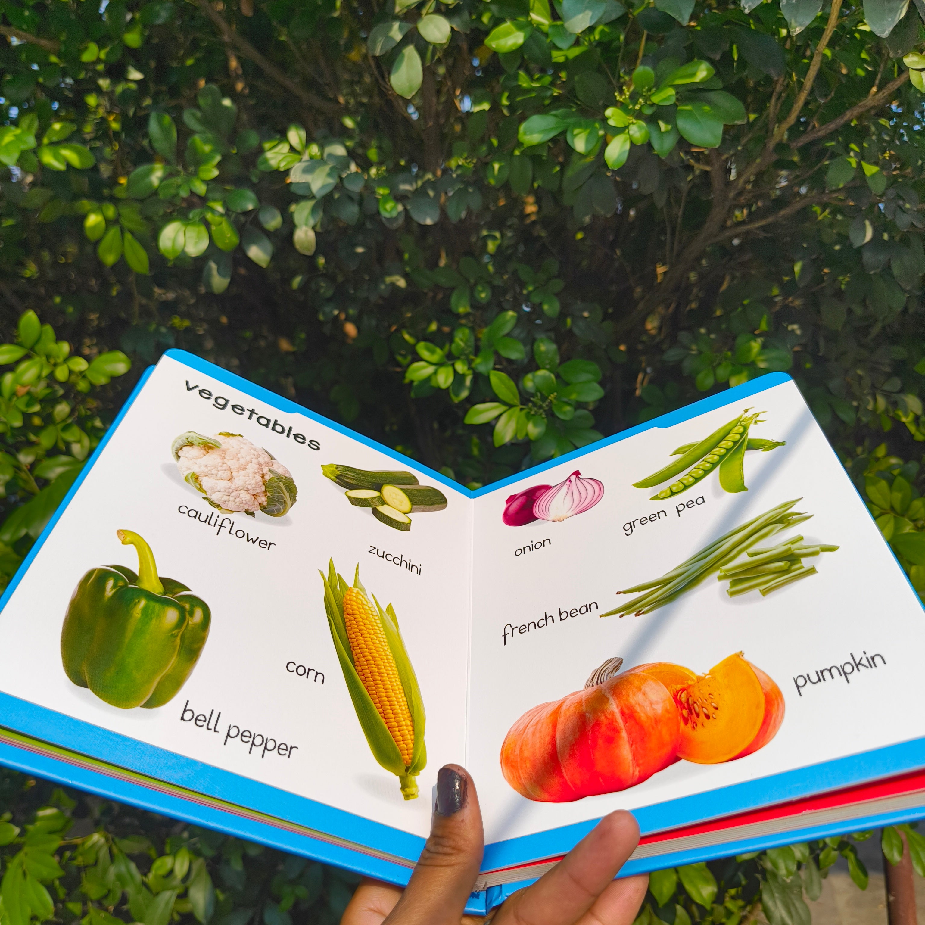 Padded Book - Food
