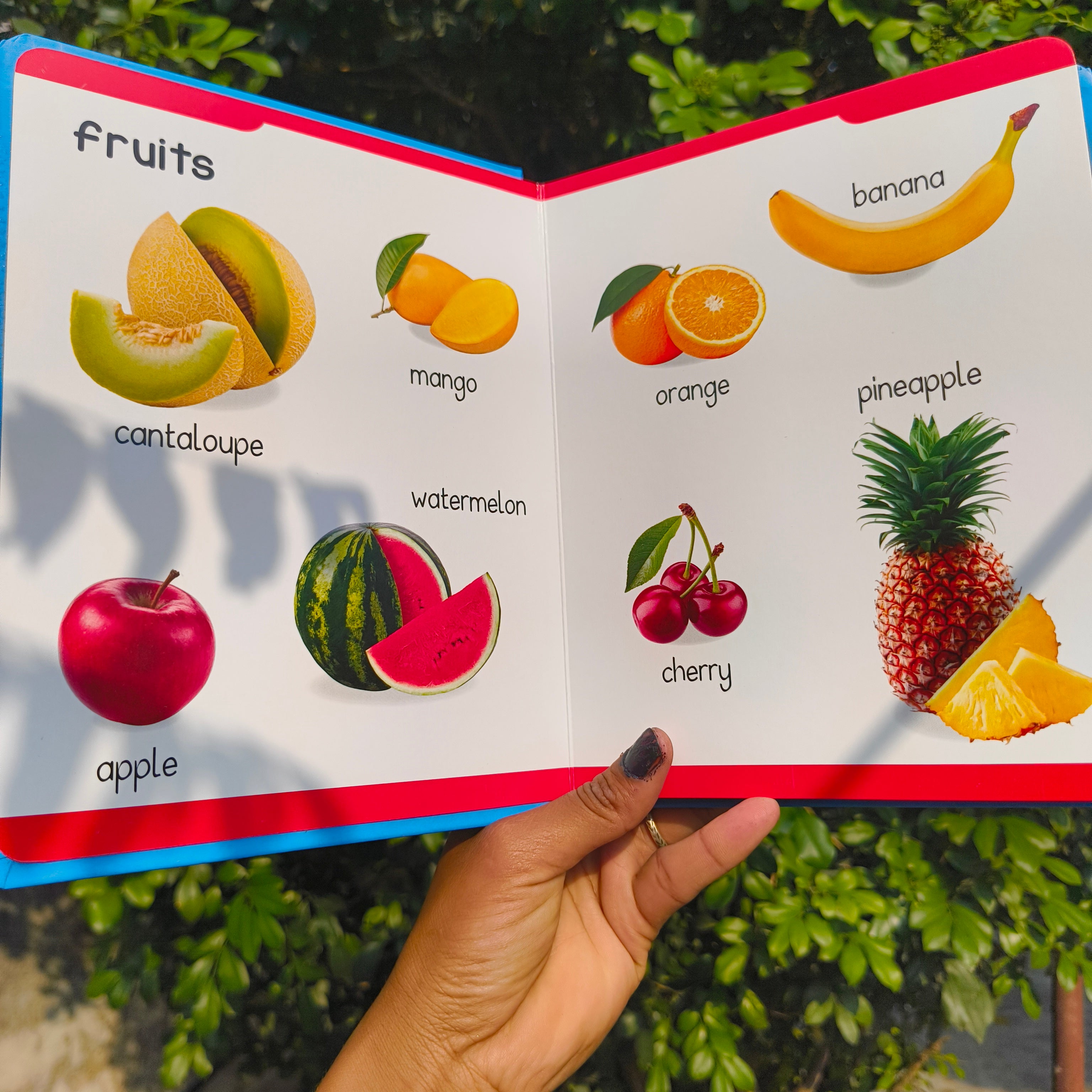 Padded Book - Food