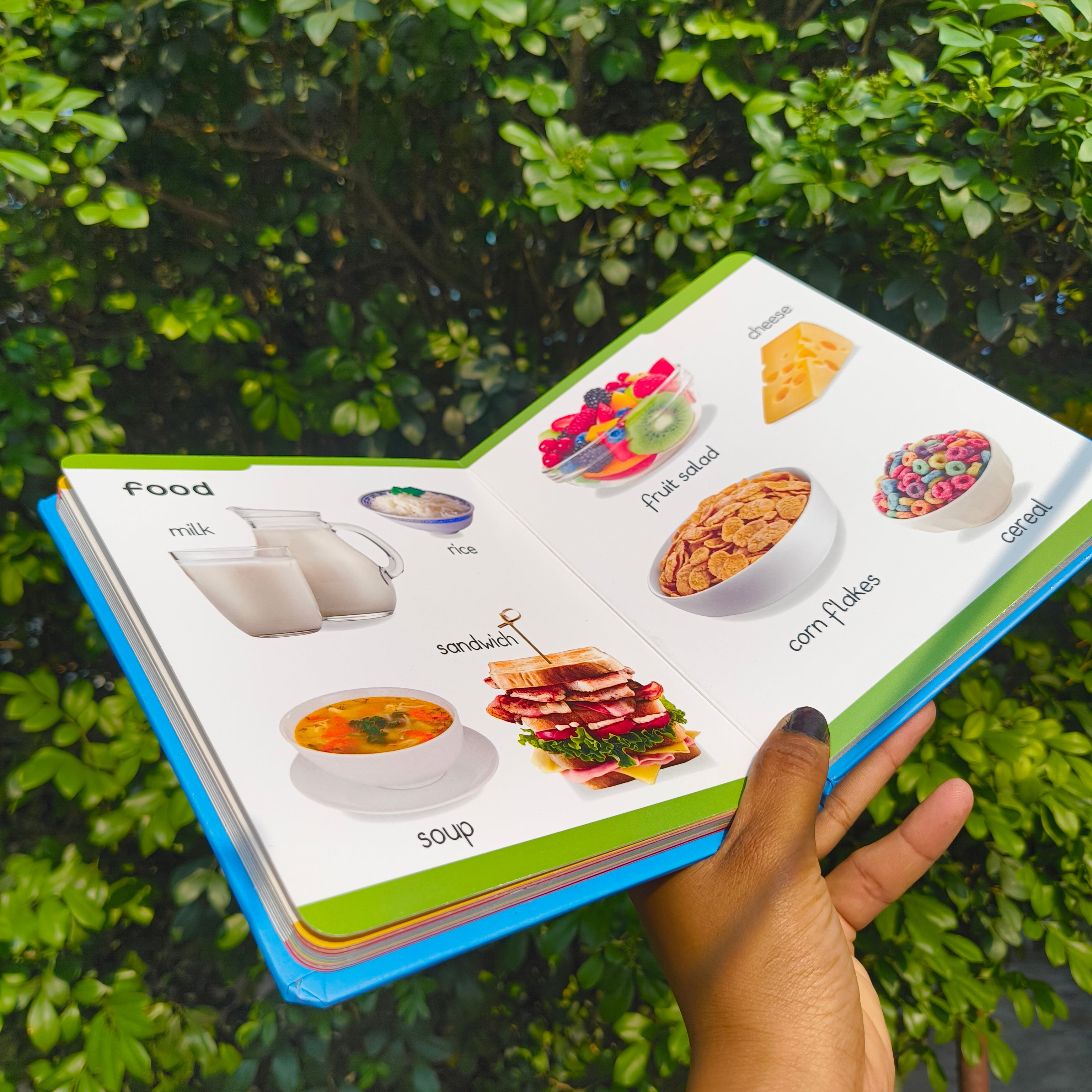 Padded Book - Food